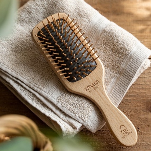 ALEXANDRE DE PARIS ヘアブラシ 2個セット 約20cm ALEXANDRE DE PARIS ヘアブラシ 2個セット 約20cm ALEXANDRE DE