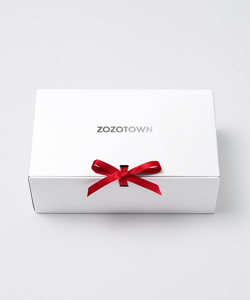 コイン2ホンセットネックレス 185543（ネックレス）｜LOWRYS FARM