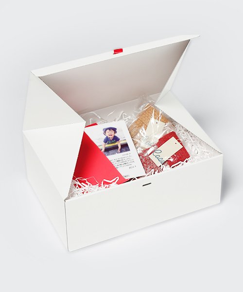 MASTER BUNNY EDITION】フルダルSPXインレイ トラック風ジャケット