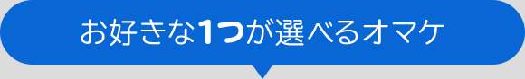 お好きな1つが選べるオマケ