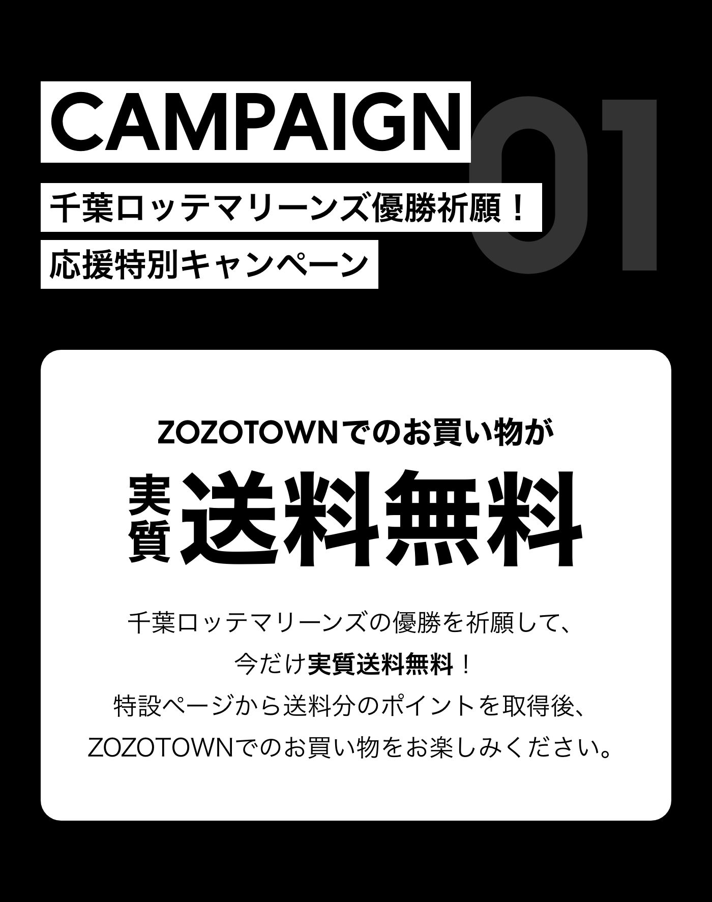 CAMPAIGN