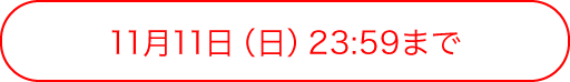 11月11日(日) 23:59まで