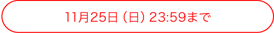 11月25日(日) 23:59まで