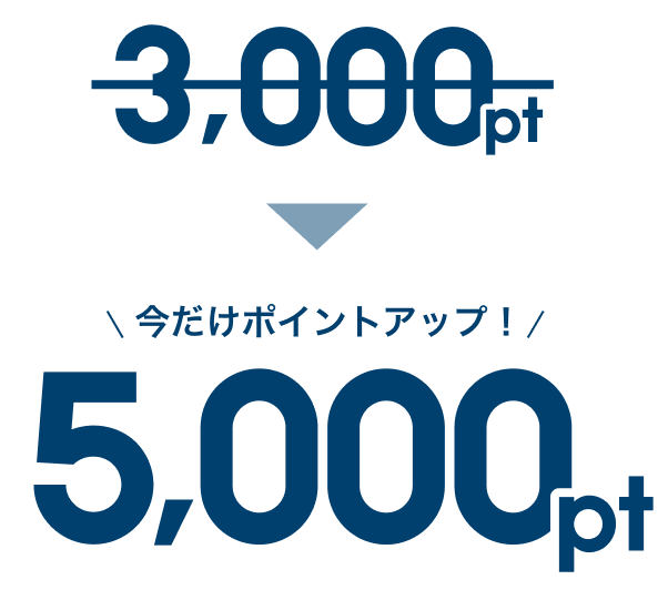 5,000pt