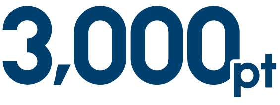 3,000pt