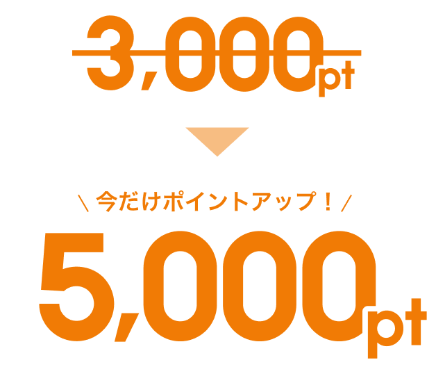 3,000pt