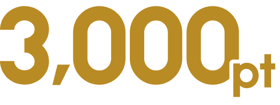 3,000pt