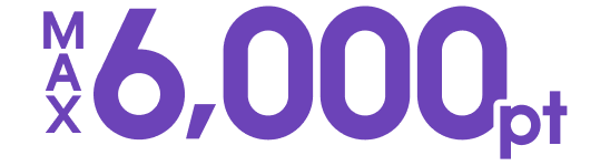MAX6,000pt