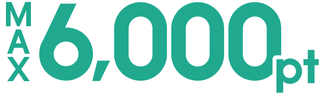 MAX6,000pt