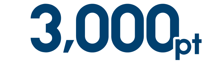 3,000pt