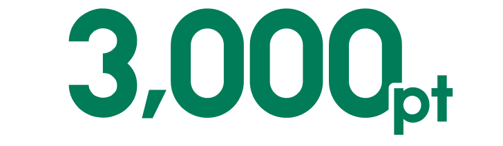 3,000pt