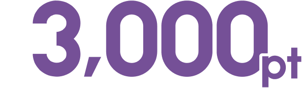 3,000pt