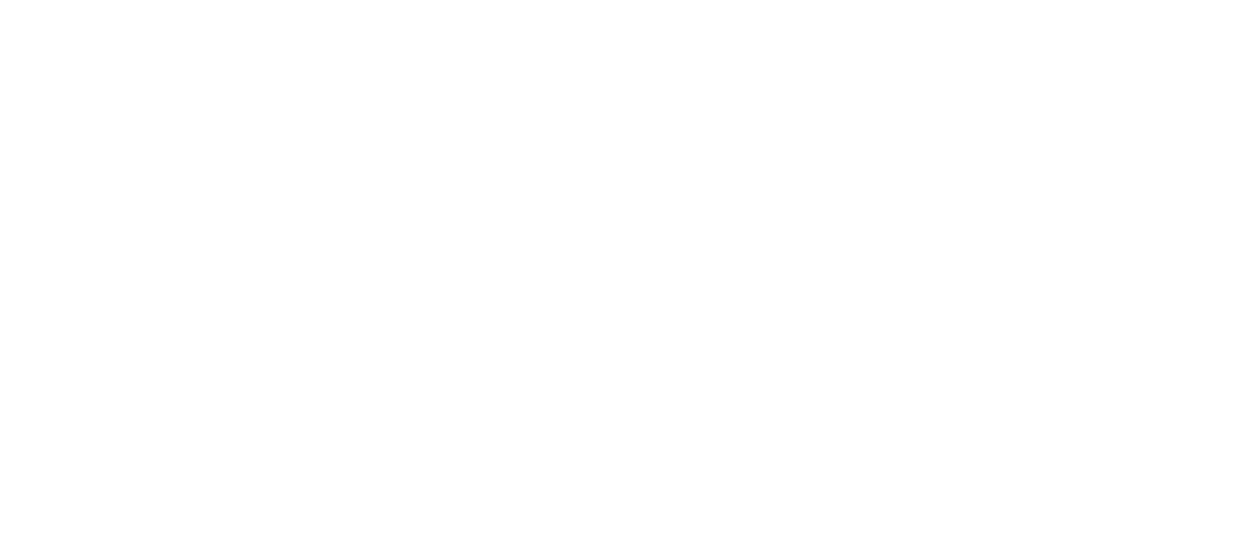 Thank you 11 years N&eacute;-net and mercibeaucoup,