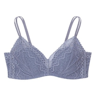 �u���W���[