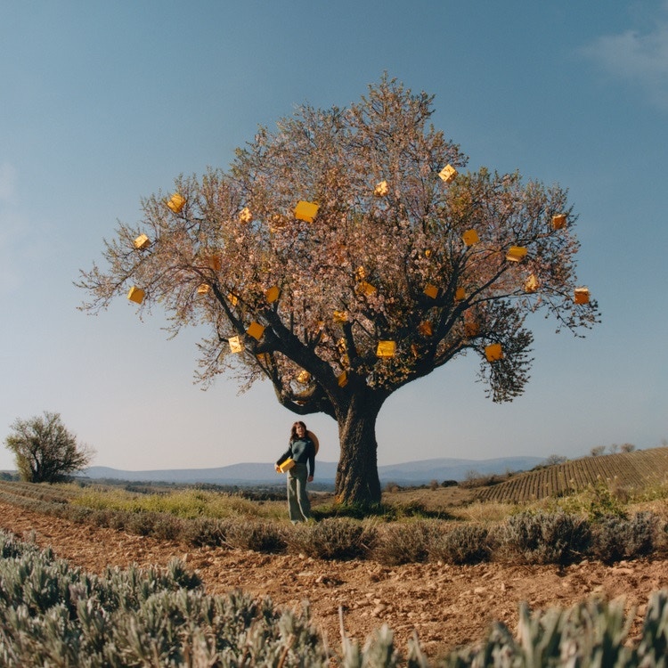 L'OCCITANE