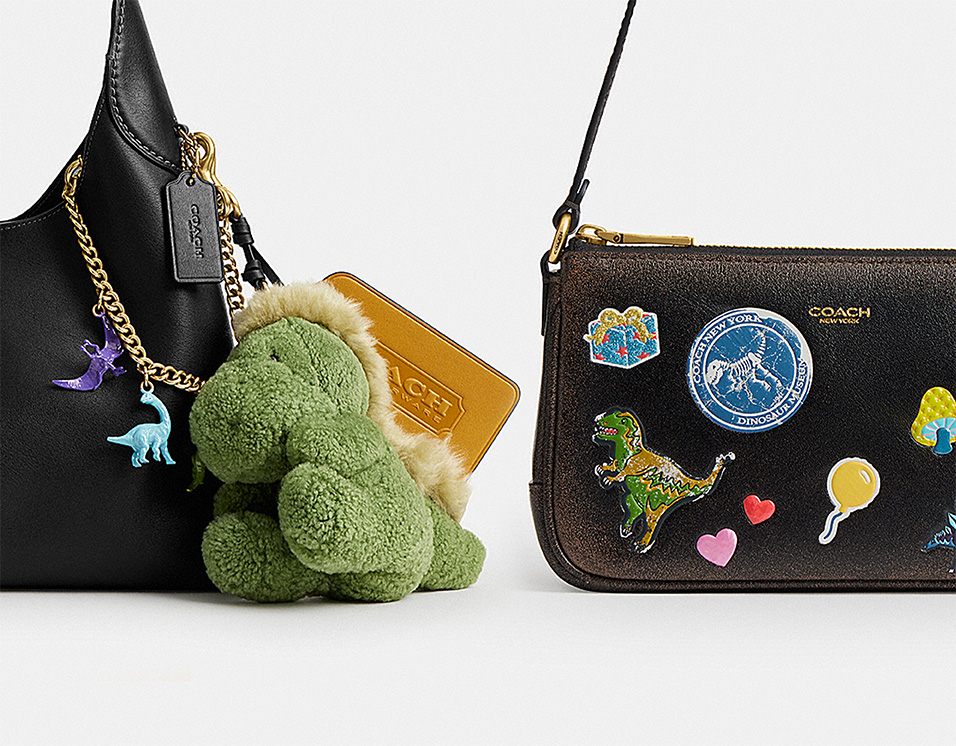 COACH�g���L�V�[�h10���N�R���N�V����