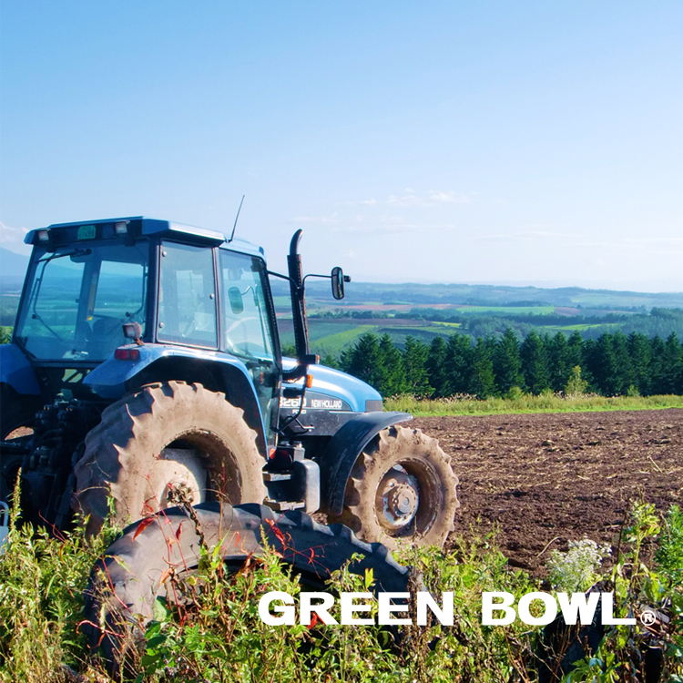 GREEN BOWL