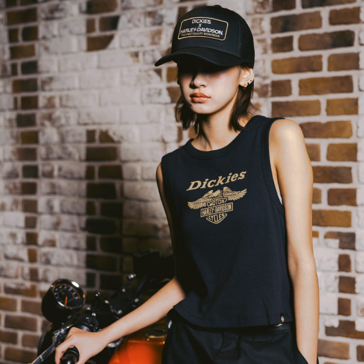 HARLEY-DAVIDSONin[[_rbh\j