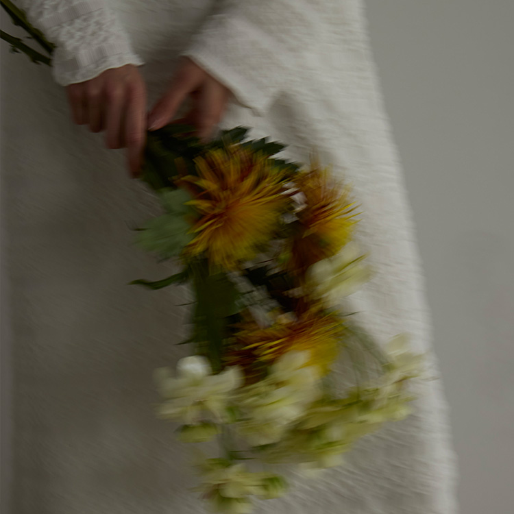 �~�G���C�����@���A���g ���C���r�W���A��