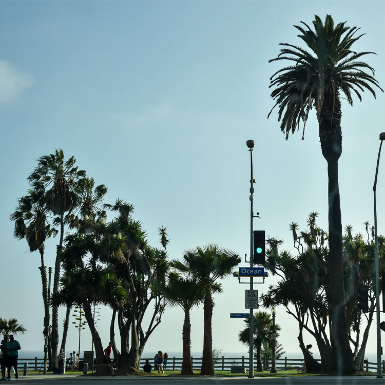 CALIFORNIA OUTFITTERSiJtHjA AEgtBb^[Yj