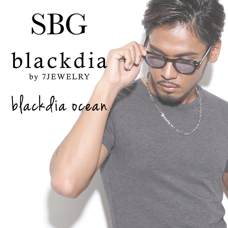 SBGiGXr[W[j