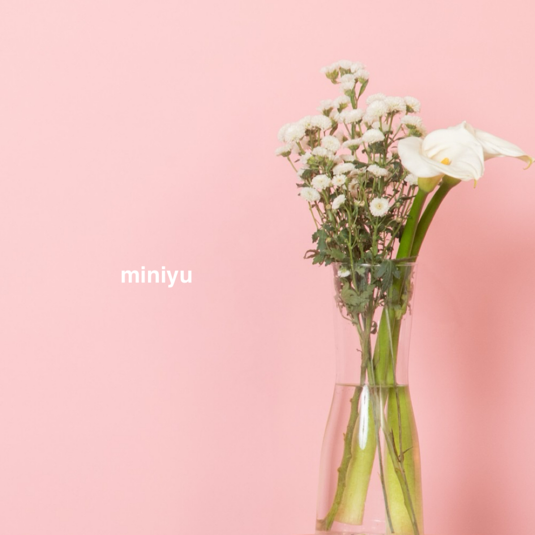 miniyu（ミニュウ）