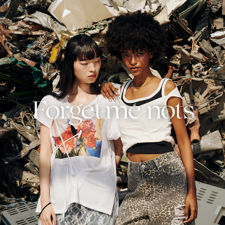 Forget-me-notsitH[Qbg~[mbcj
