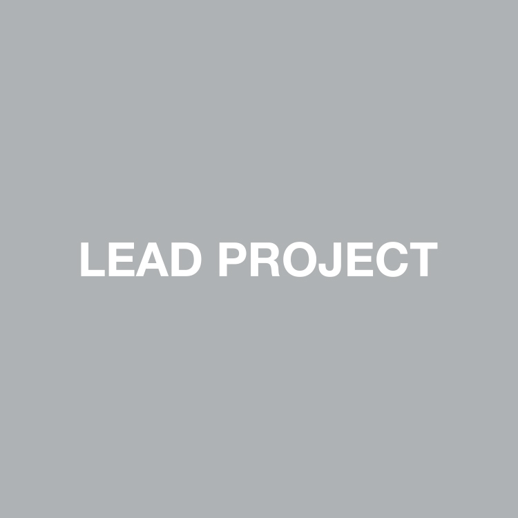 LEAD PROJECTi[hvWFNgj