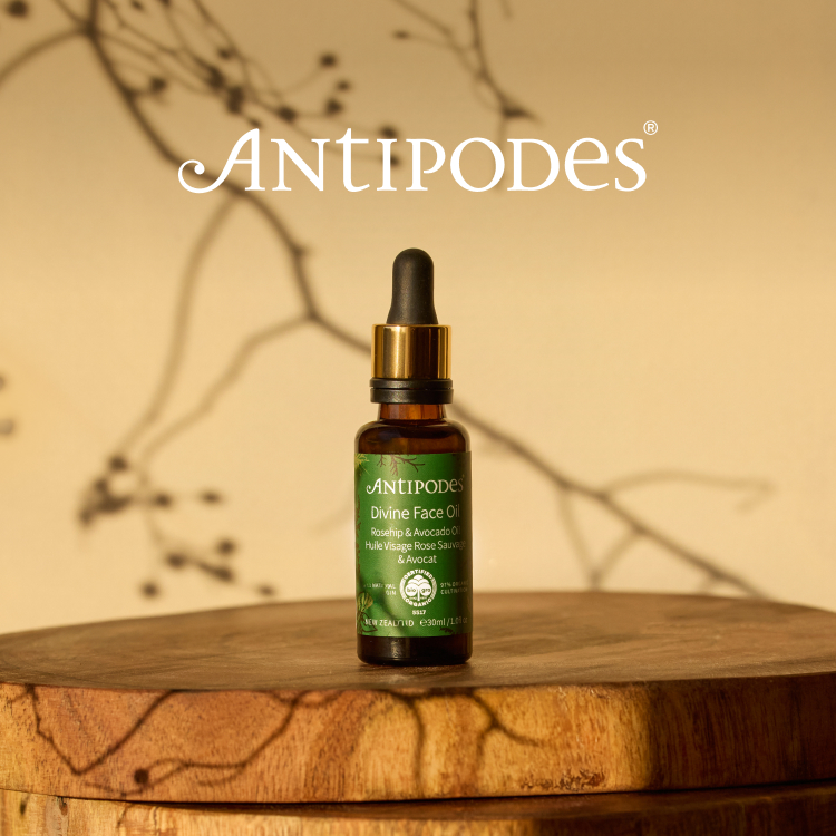 INTERMODE KAWABE BEAUTY�i�C���^�[���[�h�J���x�@�r���[�e�B�[�j