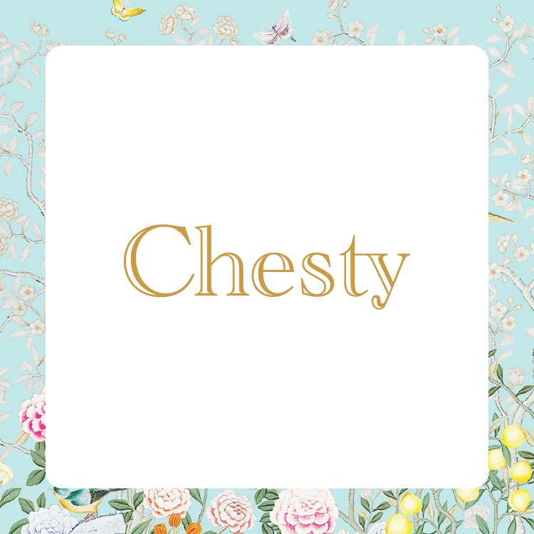 �`�F�X�e�B ���C���r�W���A��