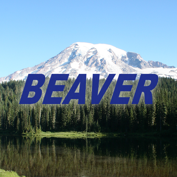 BEAVERir[o[j