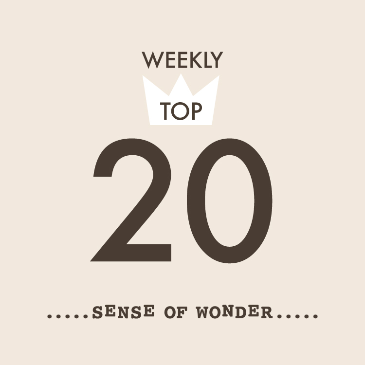 sense of wonder�i�Z���X�I�u�����_�[�j�̃V���b�v�j���[�X�u��sense of wonder��������Ă�A�C�e��TOP20�I�I�v
