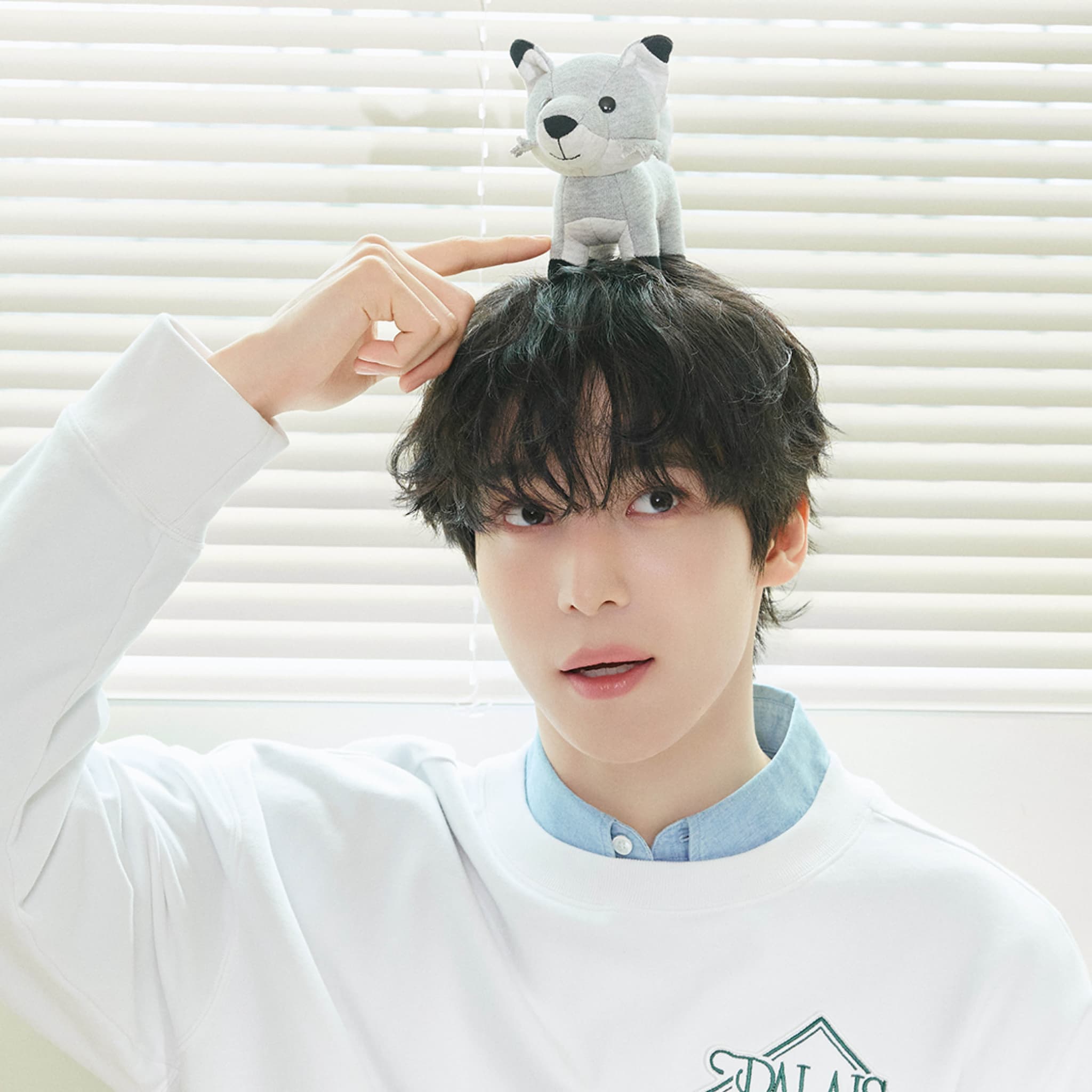 Maison Kitsune�i���]���L�c�l�j�̃V���b�v�j���[�X�uMaison Kitsune × ATEEZ YUNHO�v