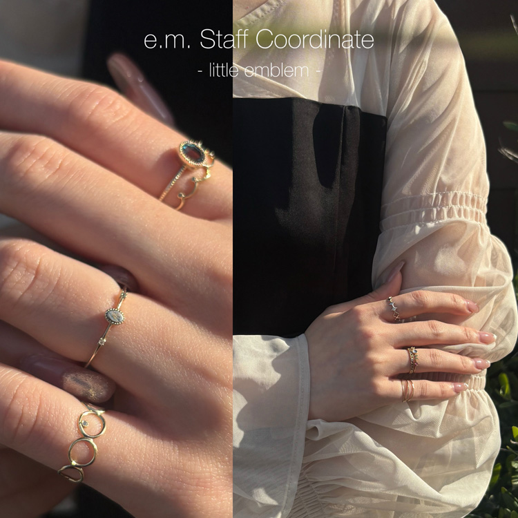 e.m.�i�C�[�G���j�̃V���b�v�j���[�X�u�ylittle emblem�ze.m. Staff Recommended Jewelry�v
