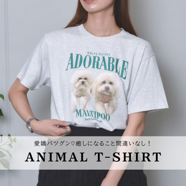 DOUBLE STEAL�i�_�u���X�e�B�[���j�̃V���b�v�j���[�X�u���g�o�c�O���I�����ɂȂ邱�ƊԈႢ�Ȃ��I�v