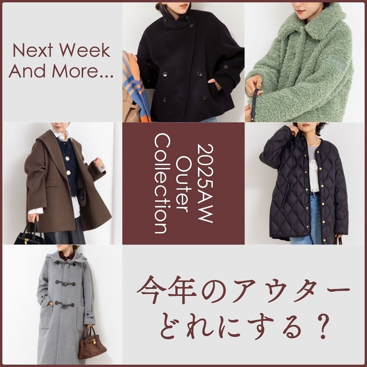 未使用✨24AW TAION×NOLLEY'S Exclusive model 未使用✨24AW TAION×NOLLEY'S Exclusive model NOLLEY'S】