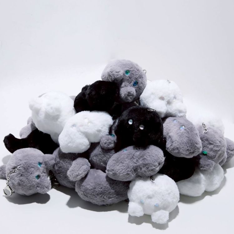 LE CIEL BLEU�i���V�F���u���[�j�̃V���b�v�j���[�X�u�yLE CIEL BLEU�z�������~�����A�b��̏����R���N�V�����v