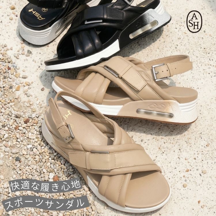 ASH�i�A�b�V���j�̃V���b�v�j���[�X�u���K�ȗ����S�n���l�C�̗��R�I�X�|�[�c�T���_���v