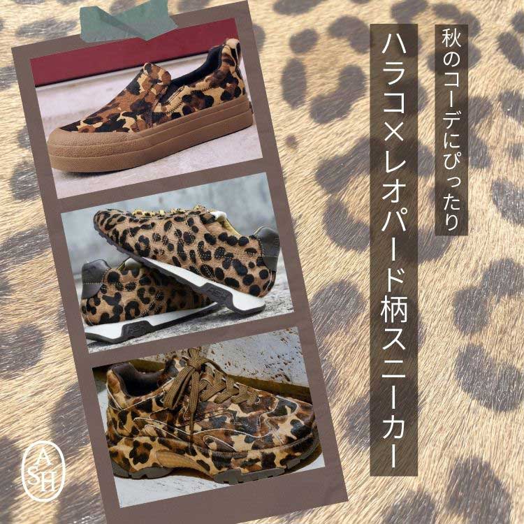 ASH�i�A�b�V���j�̃V���b�v�j���[�X�u�H�R�[�f�ɂ҂�����ȃn���R×���I�p�[�h�̃X�j�[�J�[���`�F�b�N�I�v