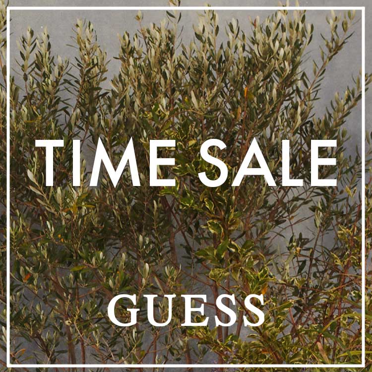 GUESS�i�Q�X�j�̃V���b�v�j���[�X�u�^�C���Z�[���J�Ò��ł��I�v