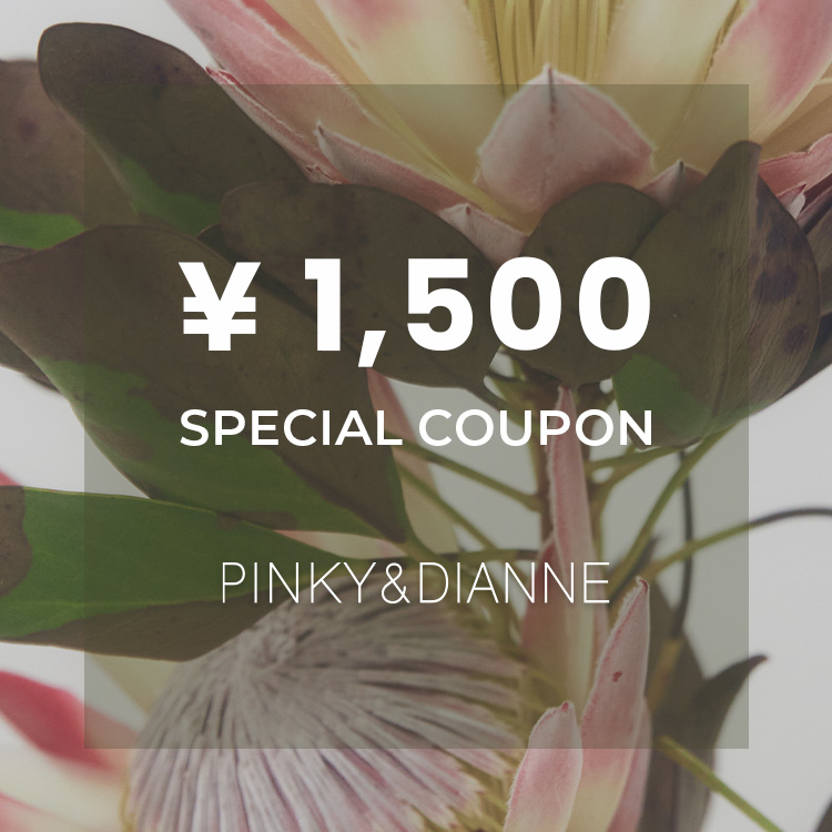 PINKY&DIANNE�i�s���L�[�A���h�_�C�A���j�̃V���b�v�j���[�X�u�y�{������z1,500�~�N�[�|���v���[���g���I�v