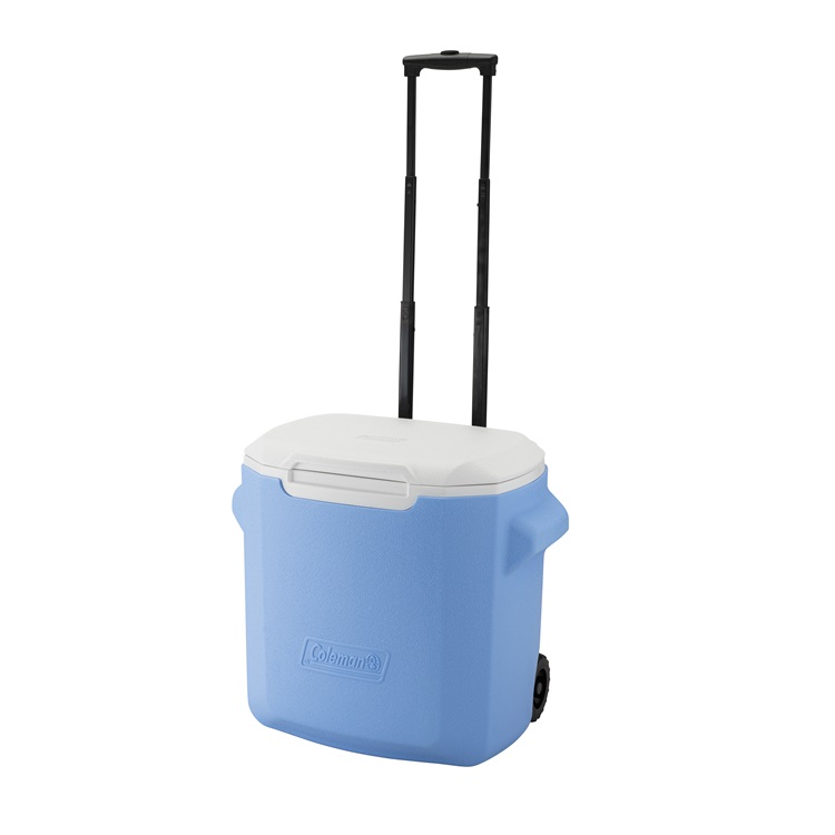 Coleman�i�R�[���}���j�̃V���b�v�j���[�X�u�yColeman�����z2026�N�V���i�̃z�C�[���N�[���[28QT/60QT�����ׂ��܂����I �v