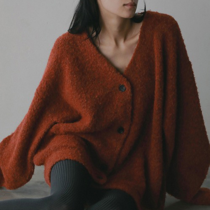 CLANEiNlj̃Vbvj[XuӂƂƉ䂫̂J[ۓIȃu[NJ[fBKBbNX̂I[o[TCYVGbgv