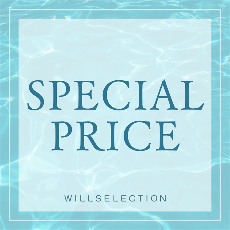WILLSELECTION�i�E�B���Z���N�V�����j�̃V���b�v�j���[�X�u�yWILLSELECTION�zSPECIAL PRICE�v