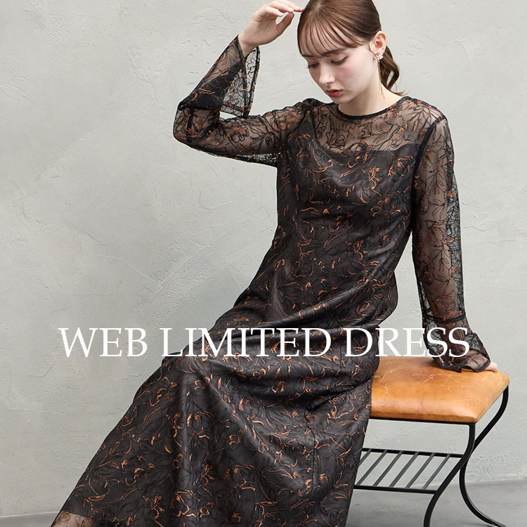 AIMER�i�G���j�̃V���b�v�j���[�X�u�yWEB����p�[�e�B�[�h���X�z�v