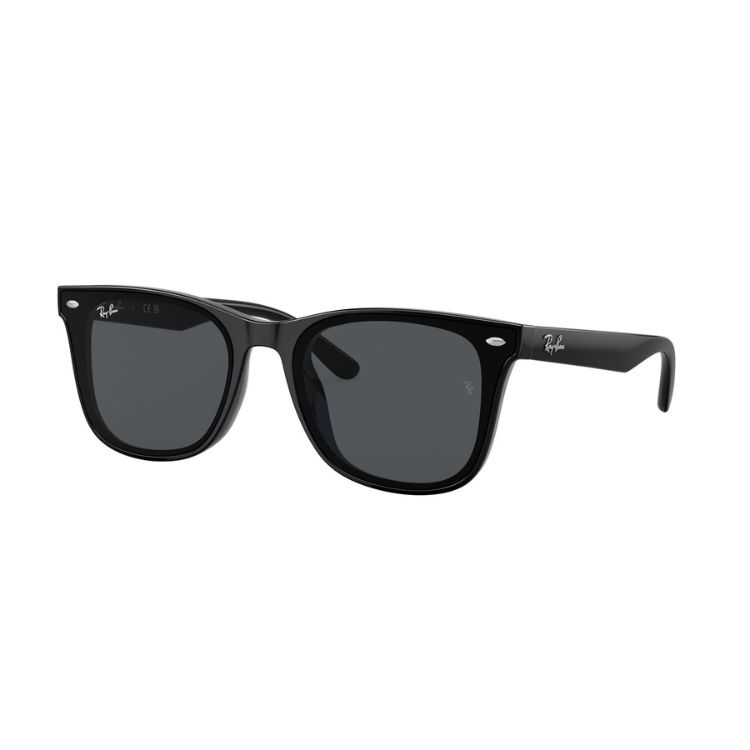 Ray-Ban AVIATOR LARGE L II サングラス Ray-Ban（レイバン） サングラス サングラス AVIATOR LARGE METAL II