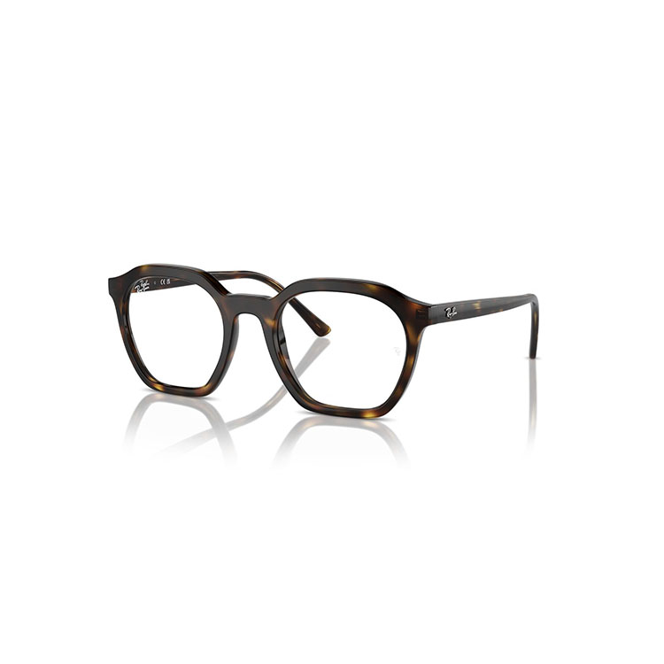 Ray-Ban レイバン サングラス RB4391D(アジアンデザインモデル・ロー