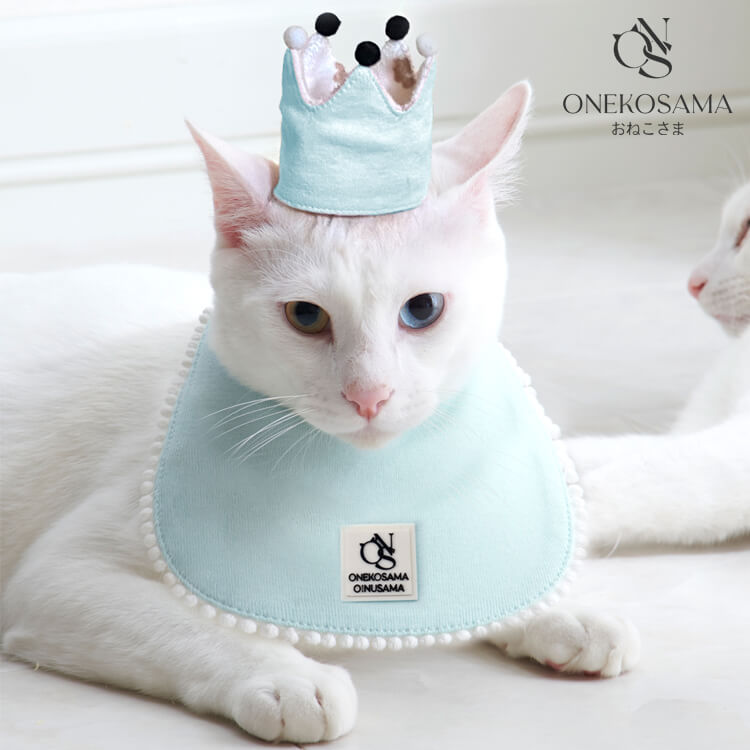 Sweet Mommy｜スウィートマミーのトピックス「【ONEKOSAMA】8/8世界猫  