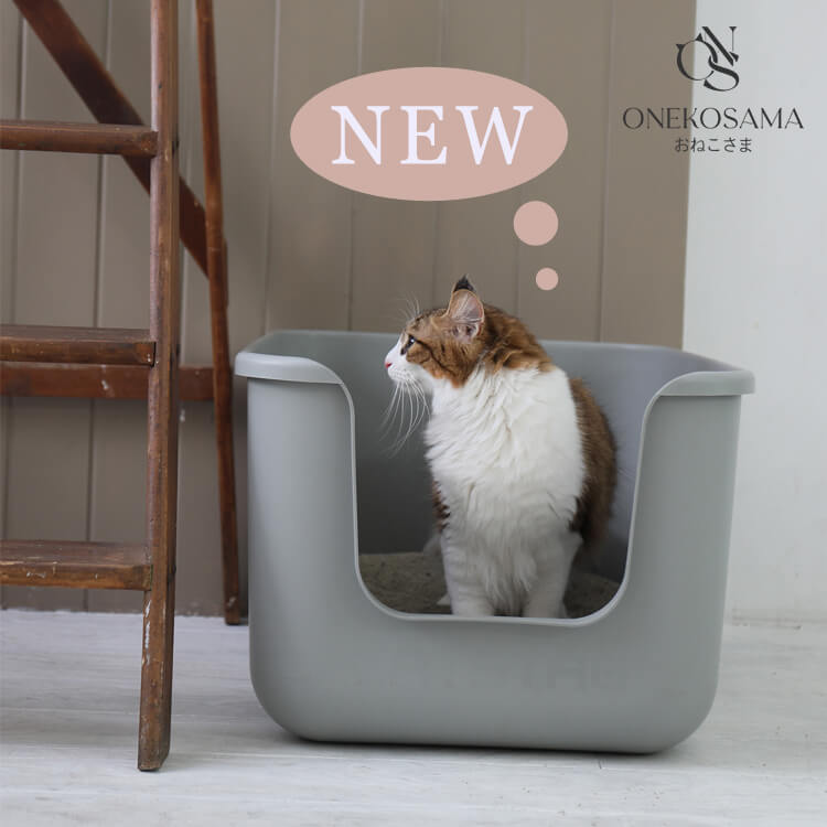 Sweet Mommy｜スウィートマミーのトピックス「【ONEKOSAMA・OINSAMA  