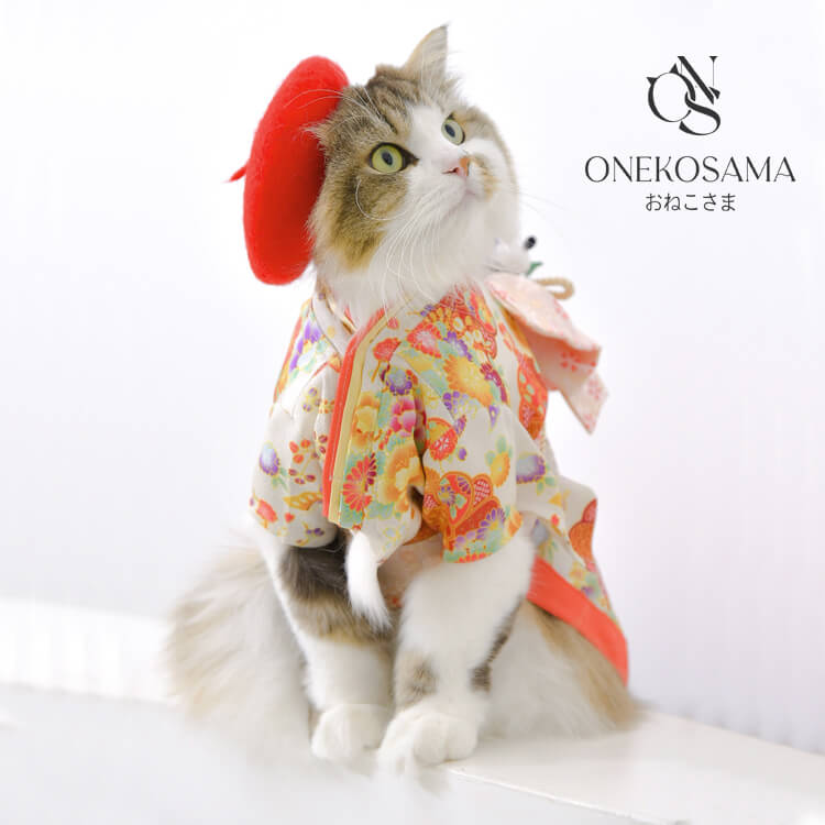 Sweet Mommy｜スウィートマミーのトピックス「【ONEKOSAMA】2月22日は  